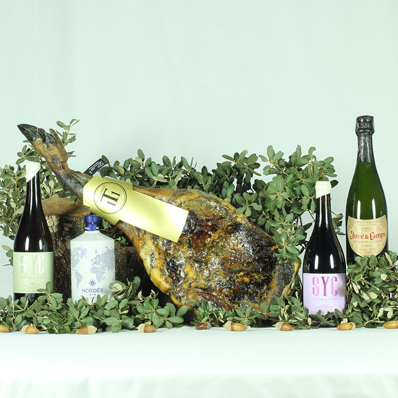 Lote Reina de las Estrellas-11 Tesoros Ibéricos-IMG_0813