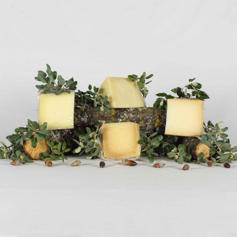 Pack Degustación Quesos-11 Tesoros Ibéricos-IMG_2456